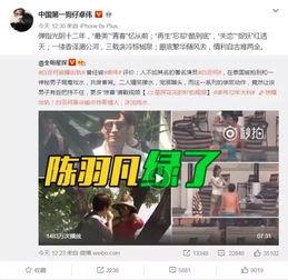 戴森新品爆料视频播放在线观看,揭秘在线观看的科技盛宴