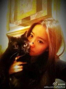 娱乐圈爆料猫不理